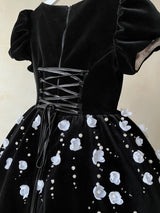 ROYAL VELVET DRESS