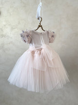 RADIANT BUTTERFLY DRESS