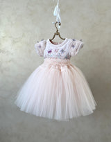 RADIANT BUTTERFLY DRESS