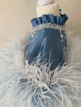 SWAN PRINCESS OUTFIT