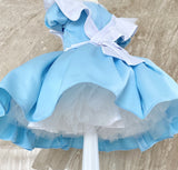 Alice in Wonderland Dress