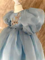 SKY BLUE ORGANZA DRESS