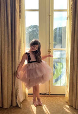 PRINCESS ARIELLA'S DRESS