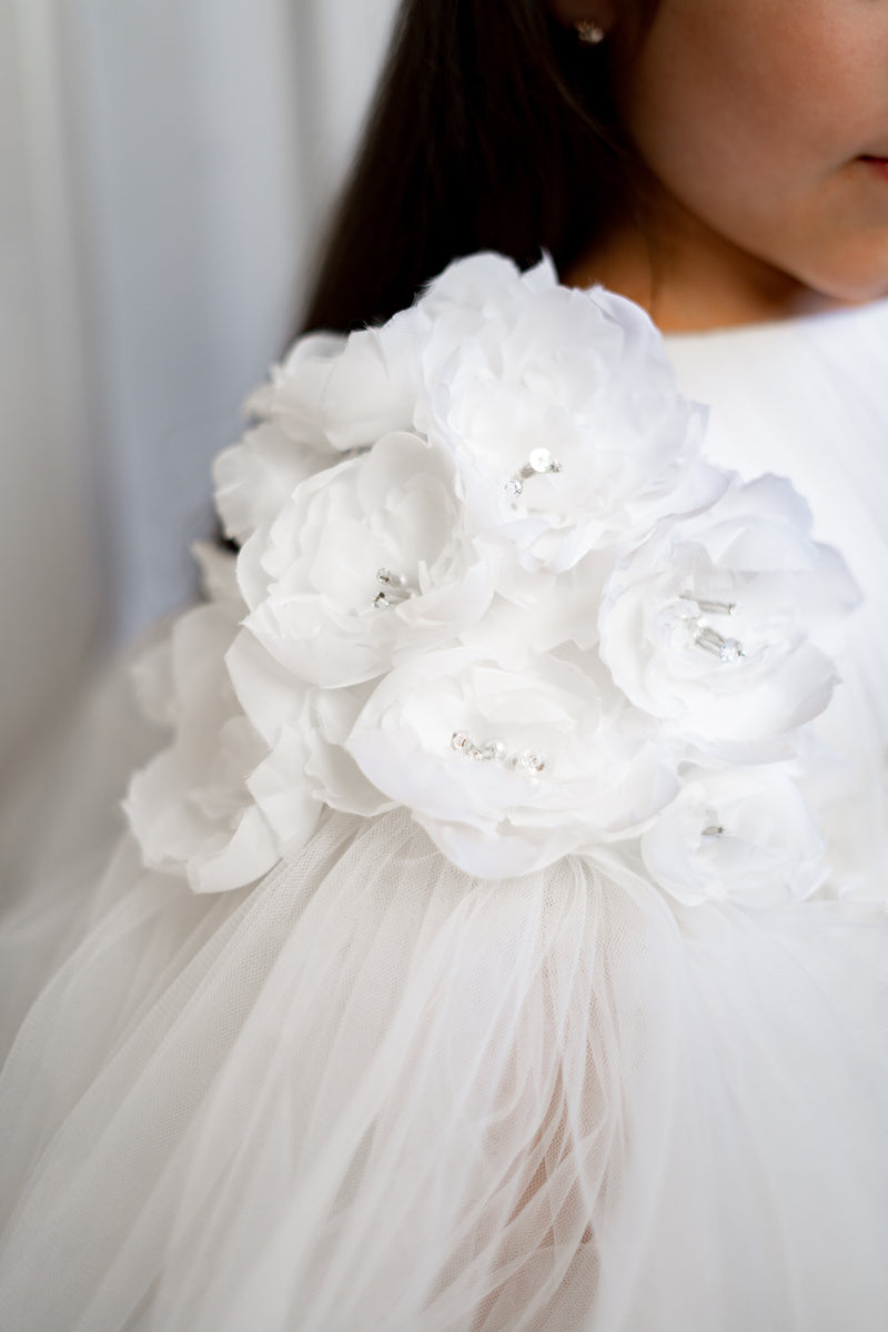 DREAMY PETALS