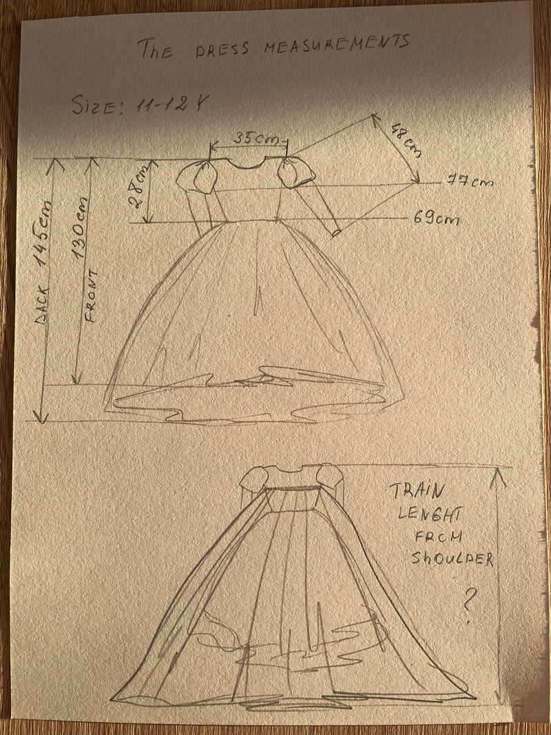 Organza Dresses