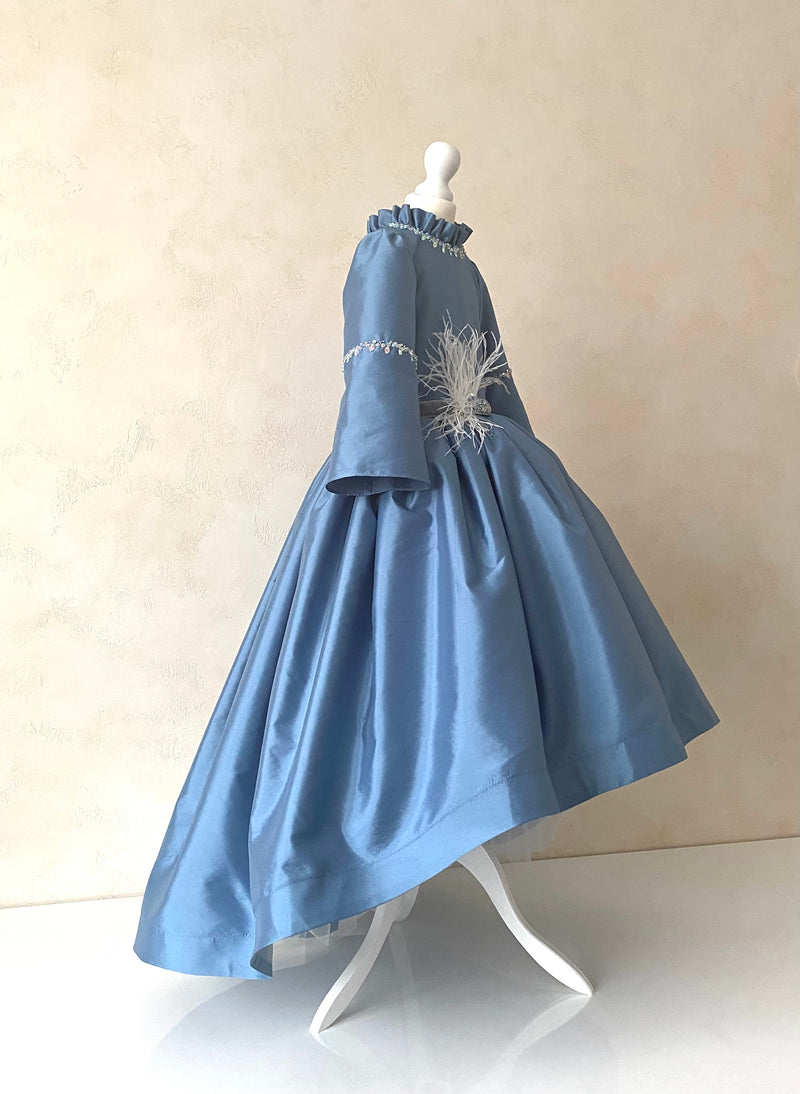 Swan Princess Dress Swan Princess Dress