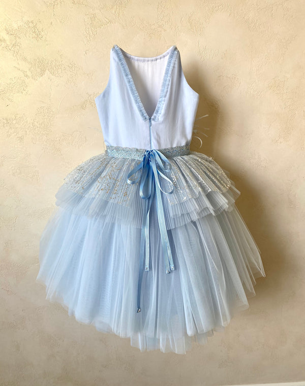 SHIMMERING DRESS