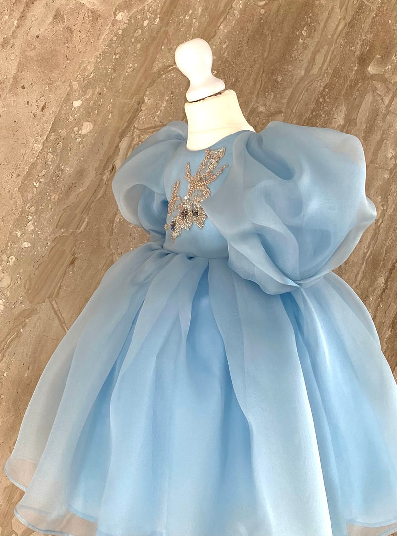 Sky Blue Organza Dress Sky Blue Organza Dress